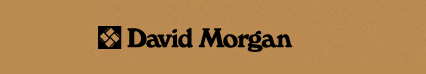 David Morgan - salg af bullwhips